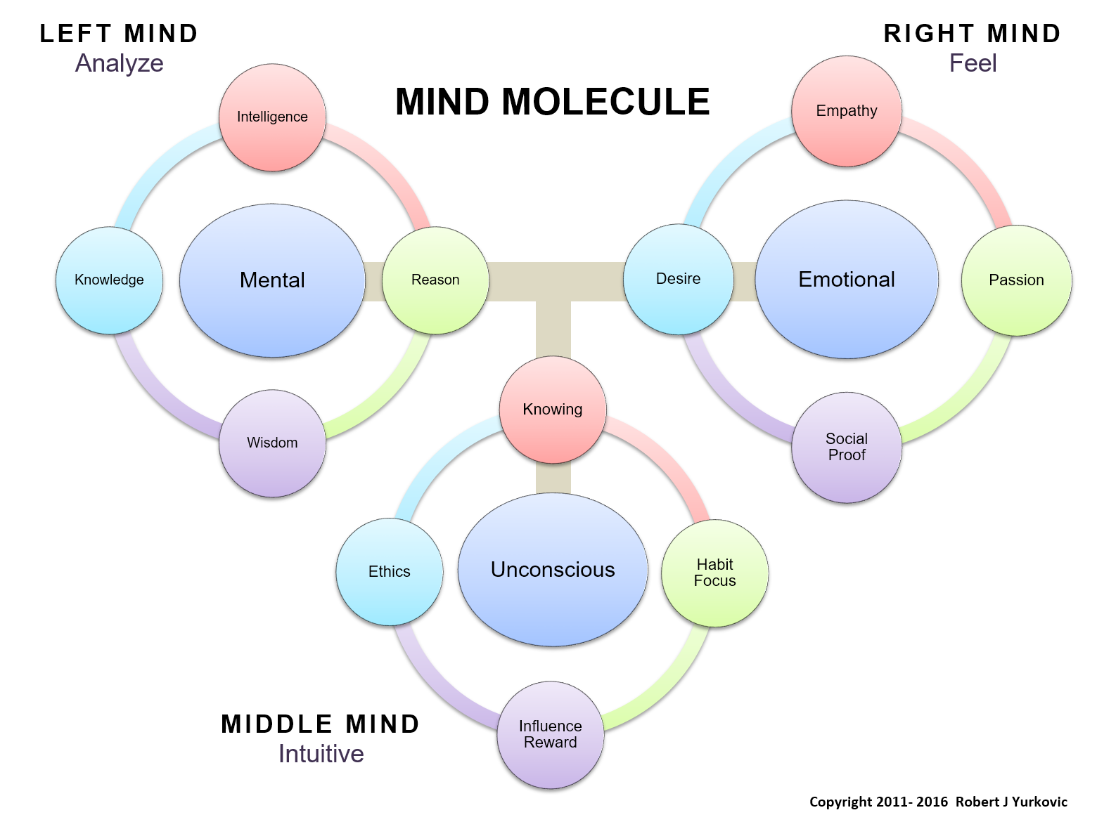 Mind Molecule